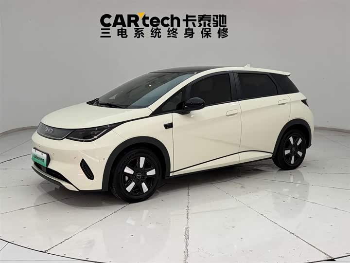 2022 BYD Dolphin EV Hatchback (LHD) - Export Ready