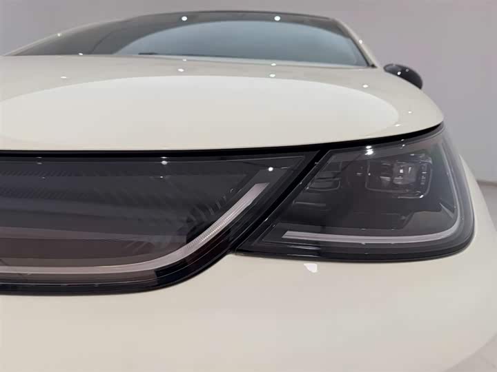 2022 BYD Dolphin EV Hatchback (LHD) - Export Ready