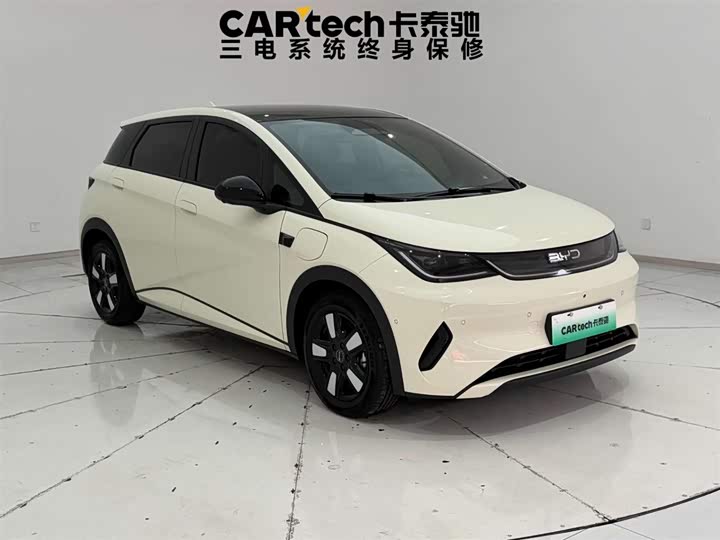 2022 BYD Dolphin EV Hatchback (LHD) - Export Ready