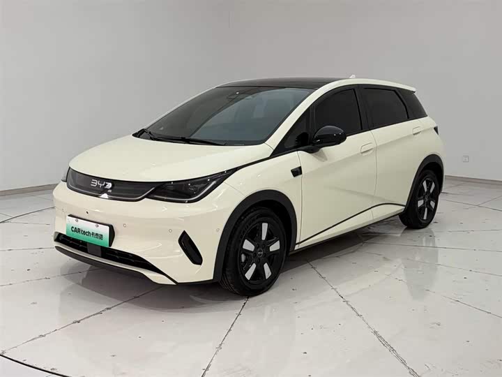 2022 BYD Dolphin EV Hatchback (LHD) - Export Ready