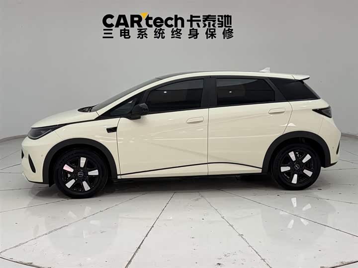 2022 BYD Dolphin EV Hatchback (LHD) - Export Ready