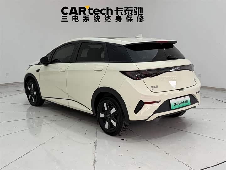 2022 BYD Dolphin EV Hatchback (LHD) - Export Ready