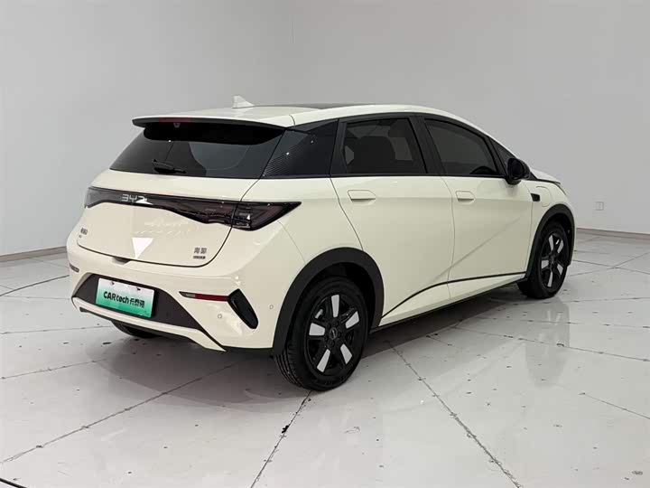 2022 BYD Dolphin EV Hatchback (LHD) - Export Ready