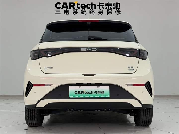 2022 BYD Dolphin EV Hatchback (LHD) - Export Ready