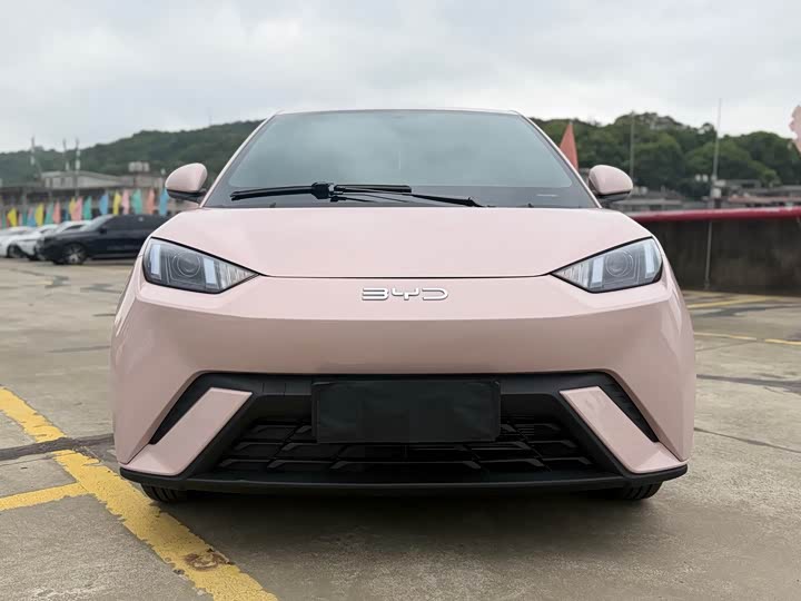 2024 BYD Seagull 405km Honor Edition Long Range EV - Export LHD