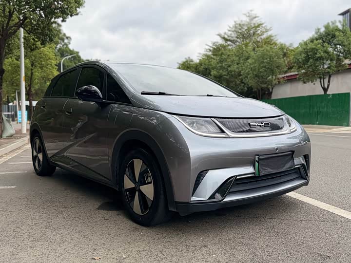 2023 BYD Dolphin 420km Free Edition Electric Hatchback - Export LHD