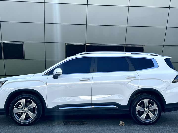 2024 Geely Starray 2.0T SUV - Export Ready LHD