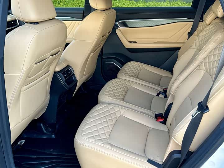 2024 Geely Starray 2.0T SUV - Export Ready LHD