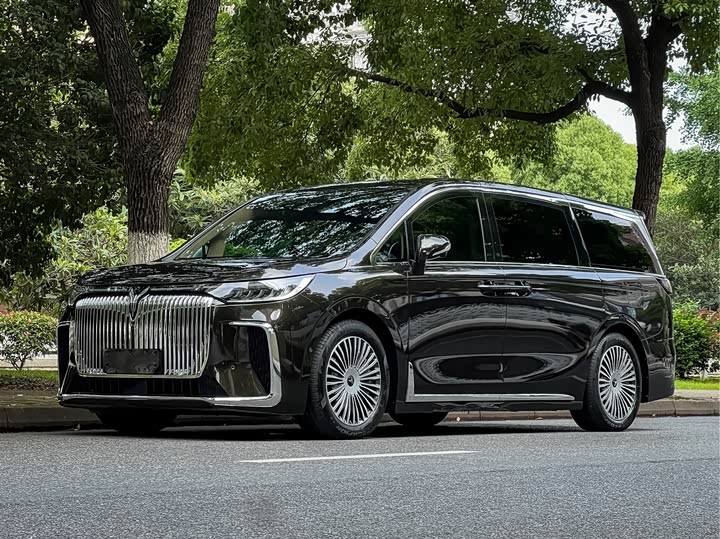 2024 Voyah Dream PHEV Luxury MPV - Export Ready - vehicle photo 1 - used car export from China