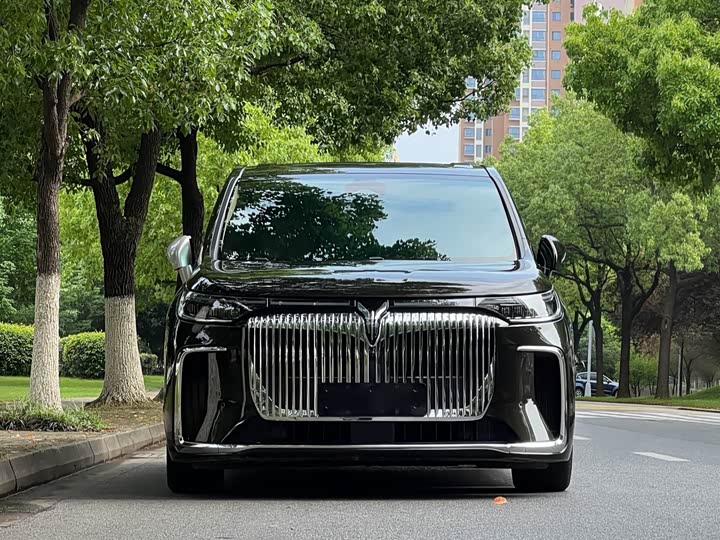 2024 Voyah Dream PHEV Luxury MPV - Export Ready - vehicle photo 2 - used car export from China