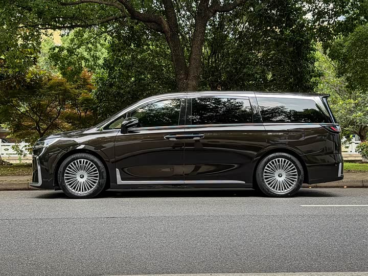 2024 Voyah Dream PHEV Luxury MPV - Export Ready - vehicle photo 7 - used car export from China